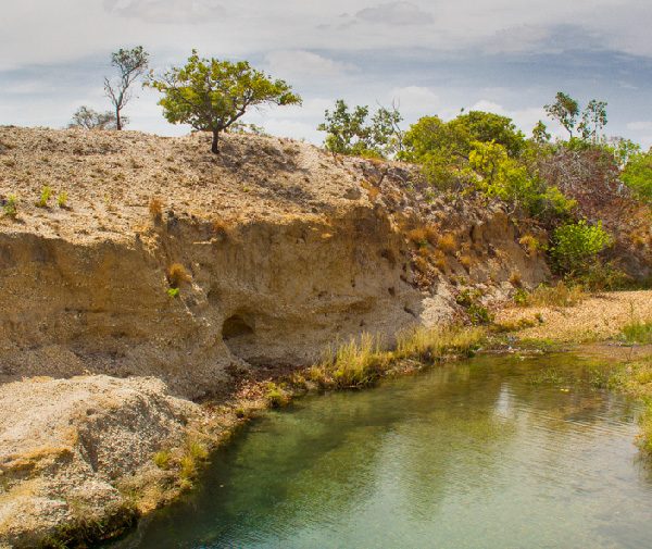 Parque Nacional Aguaro-Guariquito: Un oasis de sabanas y humedales en el corazón de Venezuela