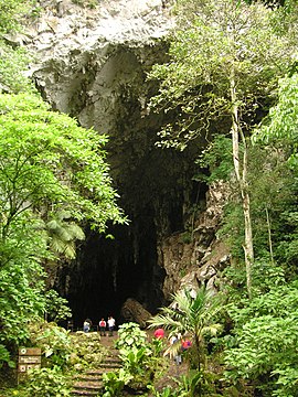 Cueva_del_Guacharo