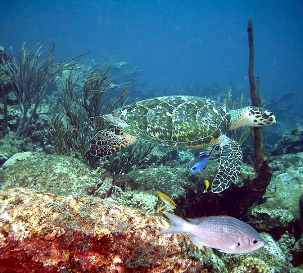 Parque Nacional Morrocoy