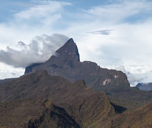 Parque Nacional Serranía La Neblina: Un viaje a la cima del mundo