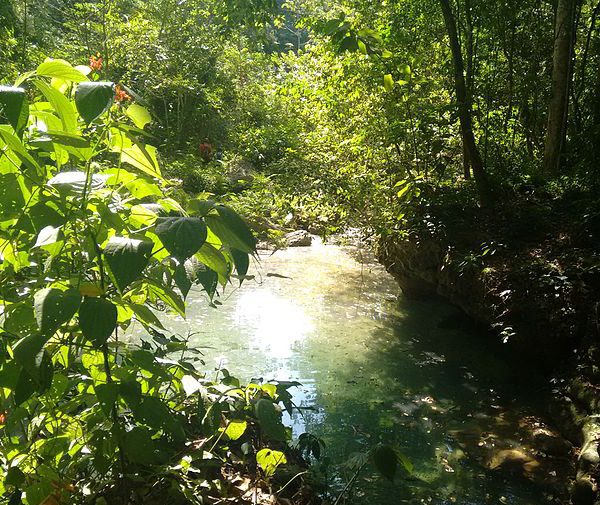 Terepaima: Un oasis verde en el corazón de Venezuela