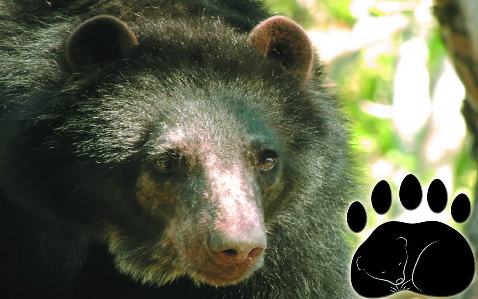 Parque Zoológico y Botánico Bararida